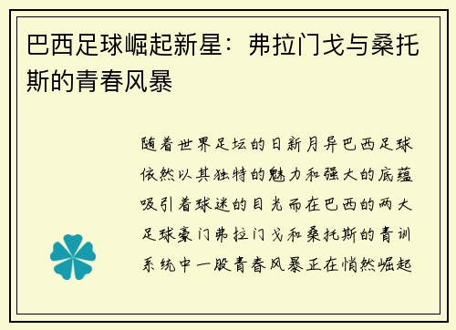 巴西足球崛起新星：弗拉门戈与桑托斯的青春风暴